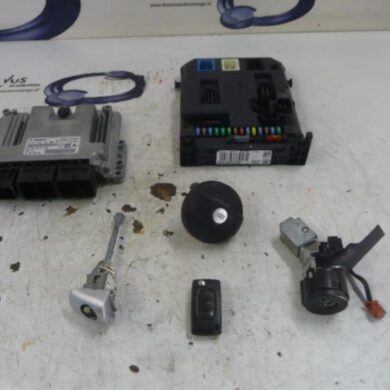 Peugeot 207  Engine management computer 5FS-5FS5F01 2010 1943TZ-1943VA