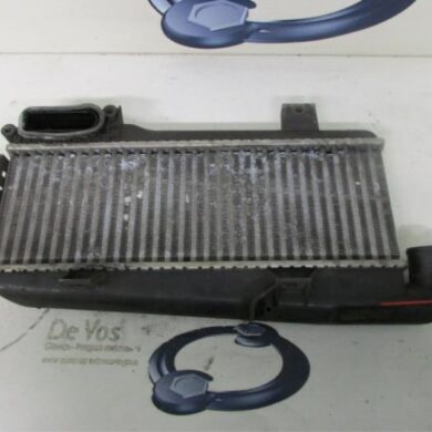 Citroen ZX 1.9 TD Avantage,Aura Intercooler DHY 1994 0384C7
