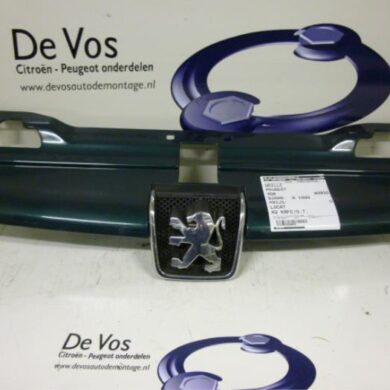 Peugeot 406 1.8 16V Grille 1999 7804F6