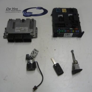 Citroen C4 Picasso  Engine management computer 5FS5F01 2010 1608303180