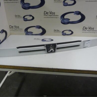 Peugeot Boxer  Grille 1998 7804C9