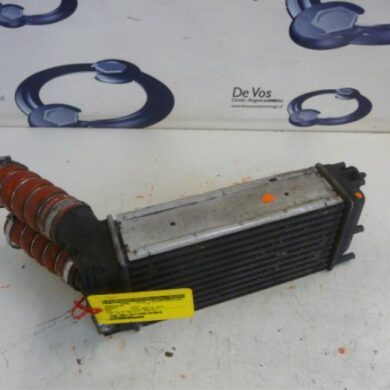 Peugeot RCZ  Intercooler 5FV-5FV5F02 2010 1440S8