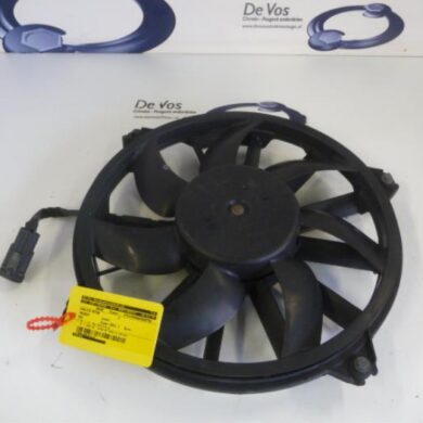 Peugeot RCZ  Koelvin Motor 2013 1253K4