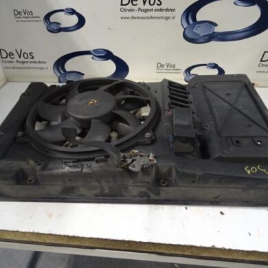 Citroen C4  Koelvinhuis 2010 1253K4-7104GG-9676568880