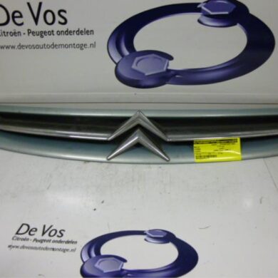 Citroen Picasso  Grille 2000 7804J7