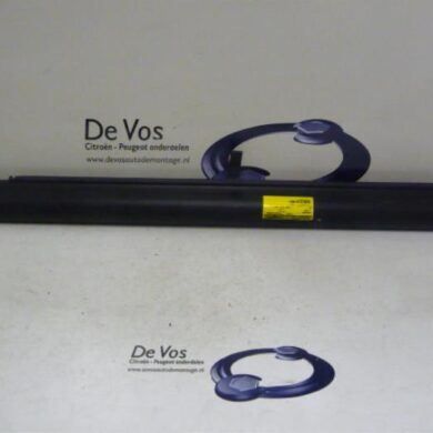 Citroen C5  Dog rack 2004