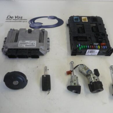 Peugeot Partner  Engine management computer 9HS9H04 2011 1606921080-1606921180