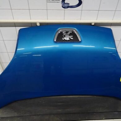 Peugeot Bipper  Bonnet 2013 7901Q0