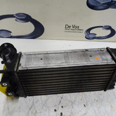 Peugeot 3008  Intercooler 9HR9H05 2011 0384N9