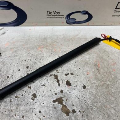 Opel Grandland X  Rear gas strut, right 2021 9828629680