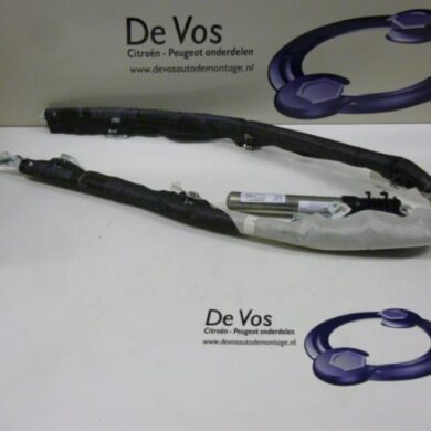 Citroen C4 Picasso 2.0 16V Autom. Hemel Airbag 2007 8216QV