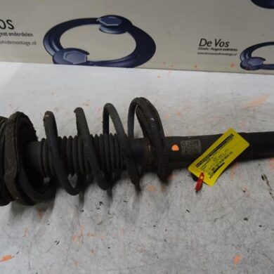 Peugeot 607 2.2 16V Front shock absorber rod, right 2005 5202QQ