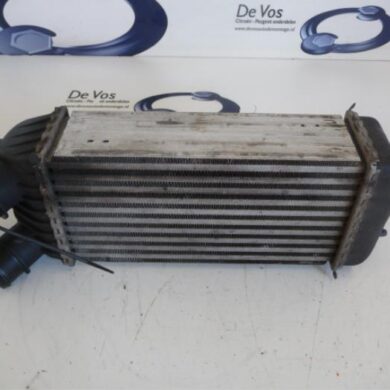 Peugeot Expert  Intercooler 9HU 2011 0384K4