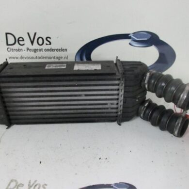Peugeot 1007 1.6 HDiF 16V Intercooler 9HZ 2006 0384J4