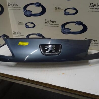 Peugeot 1007  Grille 2006 7804R7