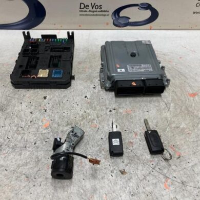 Citroen C6 3.0 HDiF V6 24V Computer Motormanagement X8Z 2011 194431-194432-9675073280