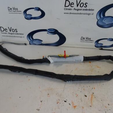 Peugeot 5008  Hemel Airbag 2010 833752