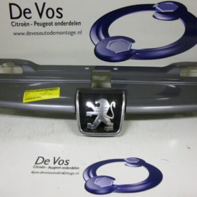Peugeot 406 1.8 16V Grille 1999 7804F6