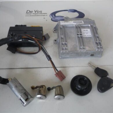 Citroen Xsara 1.4i X,SX,Societe Computer Motormanagement KFX 1999 193806