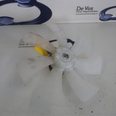 Peugeot iOn  Koelvin Motor 2012 1253T8