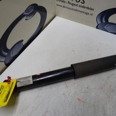 Citroen C5 Aircross  Rear shock absorber, left 2019 9830495380