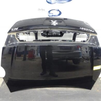 Peugeot RCZ  Tailgate 2009 1607016080-8613G7