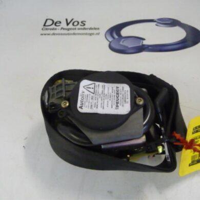Peugeot 407  Gurtsrammer links 2005 8974YK