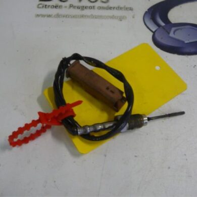 Peugeot 308 1.6 HDi Sensor (overige) 2014 1618NF