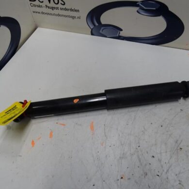 Citroen C5 Aircross  Rear shock absorber, left 2019 9830295380