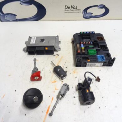 Citroen C4 Cactus  Computer Motormanagement HMZ-HMZHM01 2015 1613248880