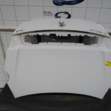 Peugeot RCZ  Heckklappe 2010 1607016080-8613G7