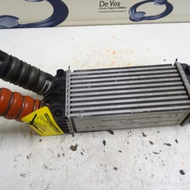 Citroen DS3  Intercooler 5FD-5FD5F04 2011 1440P8