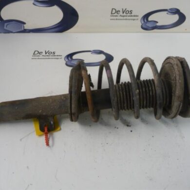 Peugeot 206 1.6 16V Front shock absorber rod, left 2006 5202NC