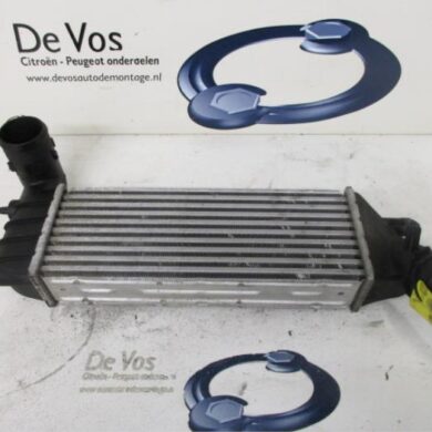 Citroen C8 2.2 HDi 16V Intercooler 4HW 2005 0384G0