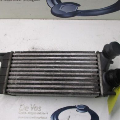 Peugeot 308 1.6 HDi Intercooler 9HP-9HP9H06 2010 0384N9