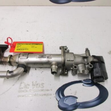 Peugeot 807  EGR Pomp RHR 2005