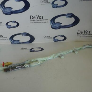 Peugeot iOn  Roof curtain airbag 2012 8338PR-1606601180