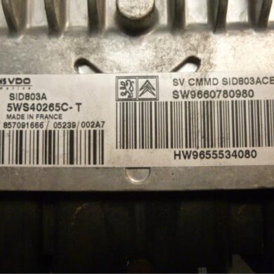 Peugeot 407 2.0 HDiF 16V Engine management computer RHR 2005 194333