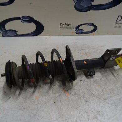 Citroen Berlingo 1.6 BlueHDI 75 Front shock absorber rod, right 2017 9684108480