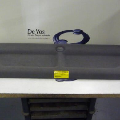 Peugeot 406 1.8 16V Hoedenplank 1998 8794G1