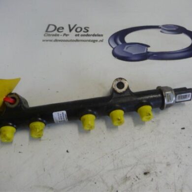 Citroen C4 Picasso  Fuel injector nozzle 9HP9H06 2014 1570Q4