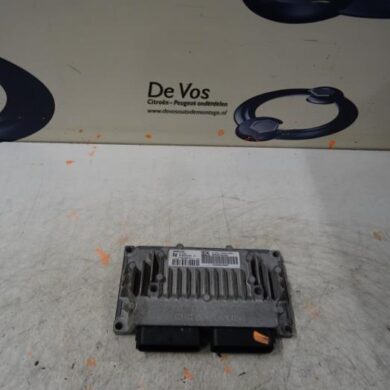 Peugeot 307  Computer Automatische Bak RFJ 2007 2529Z9 20TS25