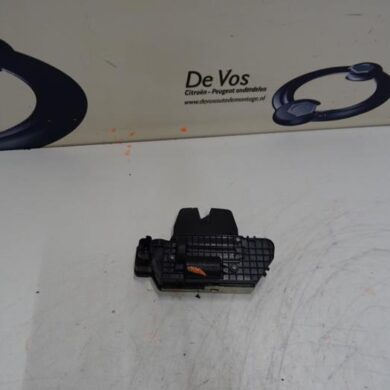 Peugeot 208  Slotmechaniek Achterklep 2013 8719F8