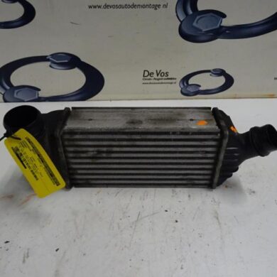 Peugeot Expert  Intercooler RHHRH02 2015 0384P2