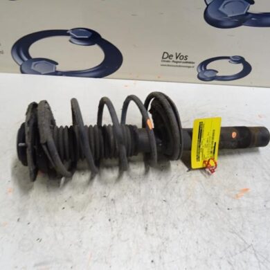 Peugeot 206 1.4 XR,XS,XT,Gentry Schokdemperpoot links-voor 2008 5202LV