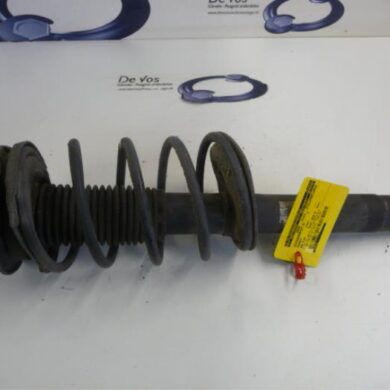 Peugeot 206 PLUS 1.4 XS Front shock absorber rod, right 2010 5202LW