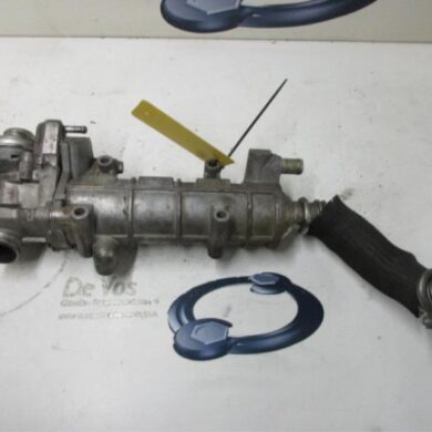 Fiat Ducato  EGR Klep 441021 2007 162642-1616X4