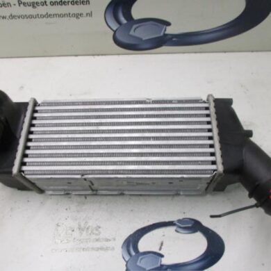 Citroen C4 Picasso 2.0 HDiF 16V 135 Intercooler RHJ 2007 0384K0