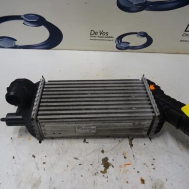 Peugeot 3008  Intercooler E-RHCRH02 2013 0384P8