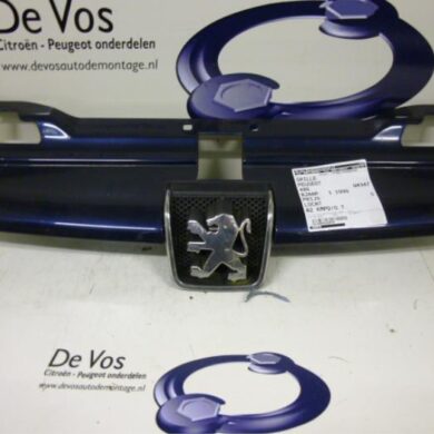 Peugeot 406 1.8 16V Grille 1999 7804F6